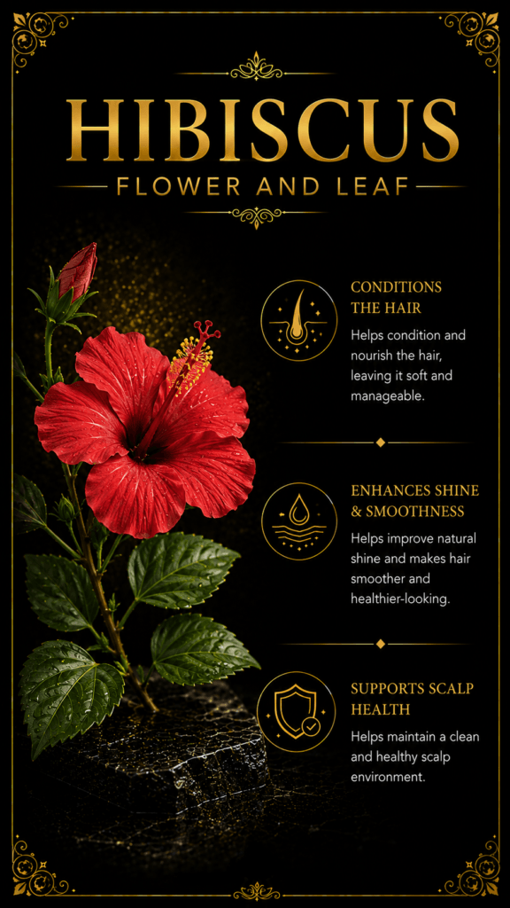hibiscus 6